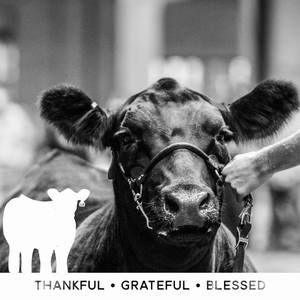 Meet your Posher, Jared